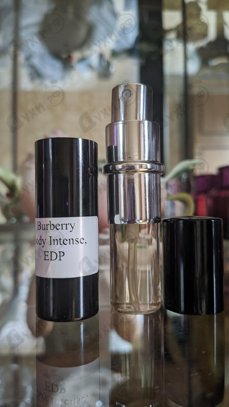 burberry body intense